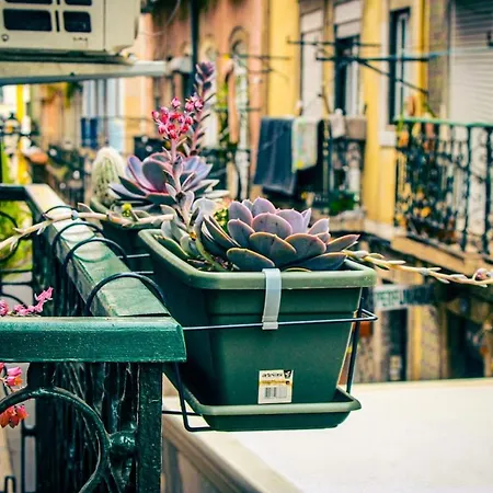 Elegant With Private Jacuzzi Apartament