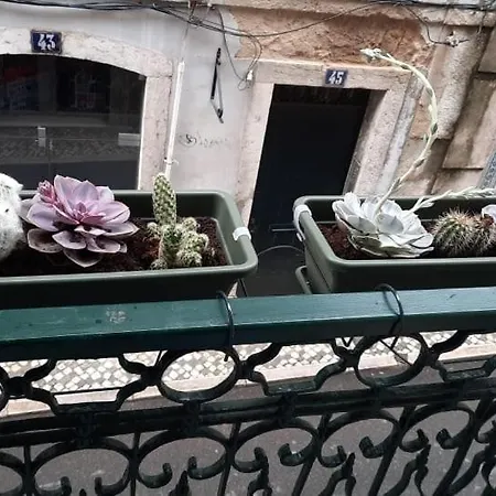 Elegant With Private Jacuzzi *